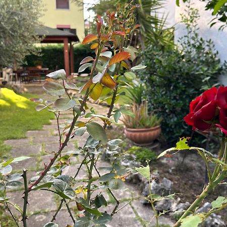 La Casa Di Gemma B&B Villa Vomano Luaran gambar